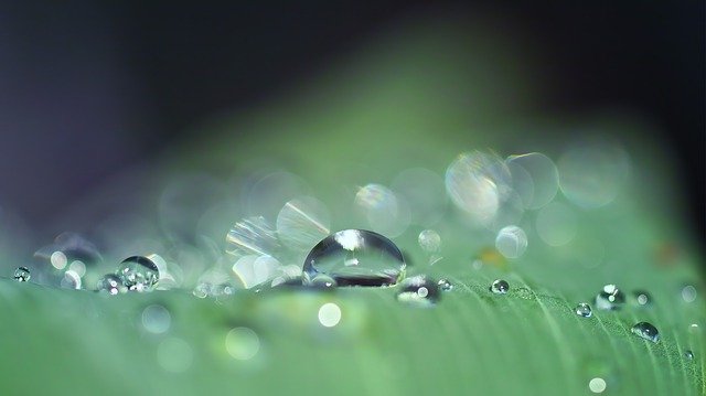 Regenwasser sammeln und nutzen