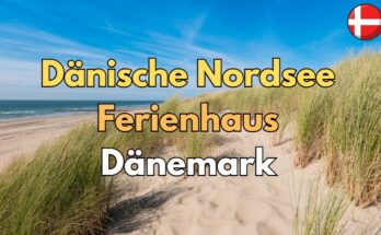 Dänische-Nordsee-Ferienhaus